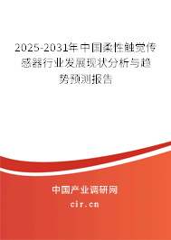 2025-2031年中國柔性觸覺傳感器行業(yè)發(fā)展現(xiàn)狀分析與趨勢預測報告