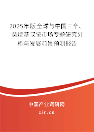 2025年版全球與中國(guó)三辛、癸烷基叔胺市場(chǎng)專題研究分析與發(fā)展前景預(yù)測(cè)報(bào)告