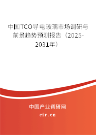中國TCO導電玻璃市場調研與前景趨勢預測報告（2025-2031年）