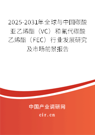 2025-2031年全球與中國碳酸亞乙烯酯（VC）和氟代碳酸乙烯酯（FEC）行業(yè)發(fā)展研究及市場前景報告
