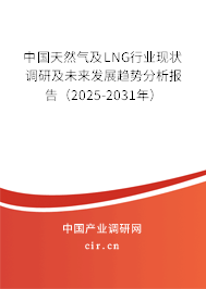 中國(guó)天然氣及LNG行業(yè)現(xiàn)狀調(diào)研及未來發(fā)展趨勢(shì)分析報(bào)告（2025-2031年）