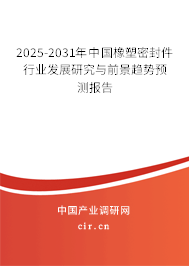 2025-2031年中國(guó)橡塑密封件行業(yè)發(fā)展研究與前景趨勢(shì)預(yù)測(cè)報(bào)告