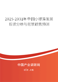 2025-2031年中國小球藻發(fā)展現(xiàn)狀分析與前景趨勢預(yù)測