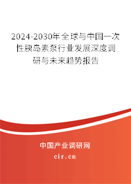2024-2030年全球與中國一次性胰島素泵行業(yè)發(fā)展深度調(diào)研與未來趨勢報告