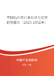 中國鉆井泵行業(yè)現狀與前景趨勢報告（2025-2031年）