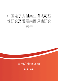 中國電子支付商業(yè)模式可行性研究及發(fā)展前景評估研究報告