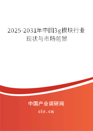 2025-2031年中國3g模塊行業(yè)現狀與市場前景