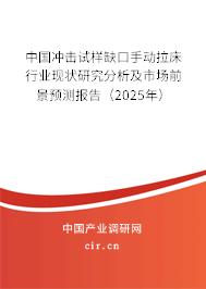 中國(guó)沖擊試樣缺口手動(dòng)拉床行業(yè)現(xiàn)狀研究分析及市場(chǎng)前景預(yù)測(cè)報(bào)告（2025年）