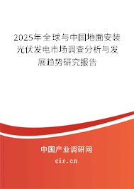 2025年全球與中國(guó)地面安裝光伏發(fā)電市場(chǎng)調(diào)查分析與發(fā)展趨勢(shì)研究報(bào)告