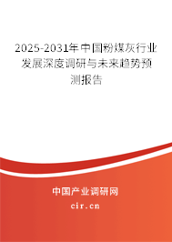 2025-2031年中國粉煤灰行業(yè)發(fā)展深度調(diào)研與未來趨勢(shì)預(yù)測(cè)報(bào)告