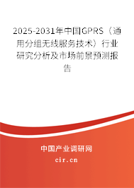 2025-2031年中國(guó)GPRS（通用分組無(wú)線服務(wù)技術(shù)）行業(yè)研究分析及市場(chǎng)前景預(yù)測(cè)報(bào)告