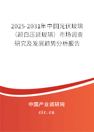 2025-2031年中國光伏玻璃（超白壓延玻璃）市場調(diào)查研究及發(fā)展趨勢分析報告