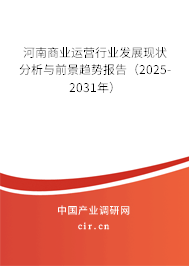 河南商業(yè)運營行業(yè)發(fā)展現(xiàn)狀分析與前景趨勢報告（2025-2031年）