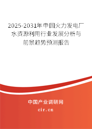 2025-2031年中國火力發(fā)電廠水資源利用行業(yè)發(fā)展分析與前景趨勢預(yù)測報(bào)告