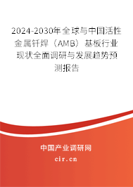 2024-2030年全球與中國活性金屬釬焊（AMB）基板行業(yè)現(xiàn)狀全面調(diào)研與發(fā)展趨勢預(yù)測報告