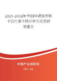 2025-2031年中國甲磺酸羅哌卡因行業(yè)市場分析與前景趨勢報告