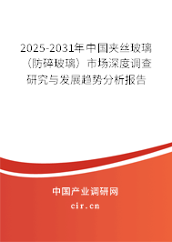 2025-2031年中國夾絲玻璃（防碎玻璃）市場深度調(diào)查研究與發(fā)展趨勢(shì)分析報(bào)告