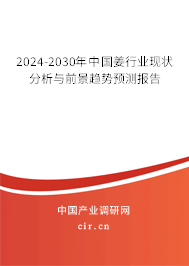 2024-2030年中國(guó)姜行業(yè)現(xiàn)狀分析與前景趨勢(shì)預(yù)測(cè)報(bào)告