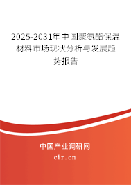 2025-2031年中國聚氨酯保溫材料市場(chǎng)現(xiàn)狀分析與發(fā)展趨勢(shì)報(bào)告