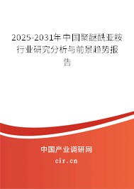 2025-2031年中國(guó)聚醚酰亞胺行業(yè)研究分析與前景趨勢(shì)報(bào)告