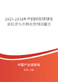 2025-2031年中國(guó)磷酸鐵鋰發(fā)展現(xiàn)狀與市場(chǎng)前景預(yù)測(cè)報(bào)告