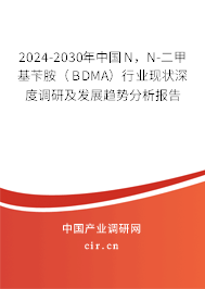 2024-2030年中國(guó)N，N-二甲基芐胺（BDMA）行業(yè)現(xiàn)狀深度調(diào)研及發(fā)展趨勢(shì)分析報(bào)告
