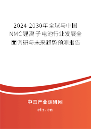 2024-2030年全球與中國NMC鋰離子電池行業(yè)發(fā)展全面調(diào)研與未來趨勢預(yù)測報(bào)告