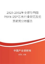 2025-2031年全球與中國PAM4 DSP芯片行業(yè)研究及前景趨勢(shì)分析報(bào)告