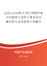 2024-2030年全球與中國汽車分視攝像頭組件行業(yè)發(fā)展全面調(diào)研與未來趨勢分析報告