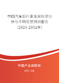 中國汽車后行業(yè)發(fā)展現(xiàn)狀分析與市場前景預測報告（2025-2031年）