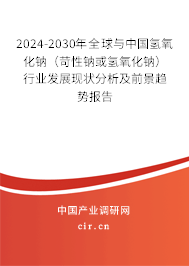 2024-2030年全球與中國氫氧化鈉（苛性鈉或氫氧化鈉）行業(yè)發(fā)展現(xiàn)狀分析及前景趨勢報(bào)告