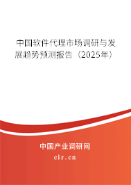 中國(guó)軟件代理市場(chǎng)調(diào)研與發(fā)展趨勢(shì)預(yù)測(cè)報(bào)告（2025年）