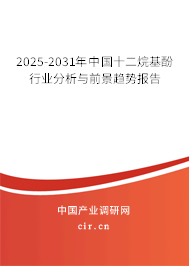 2025-2031年中國十二烷基酚行業(yè)分析與前景趨勢(shì)報(bào)告