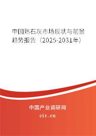 中國熟石灰市場現(xiàn)狀與前景趨勢報告（2025-2031年）
