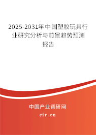 2025-2031年中國(guó)塑膠玩具行業(yè)研究分析與前景趨勢(shì)預(yù)測(cè)報(bào)告