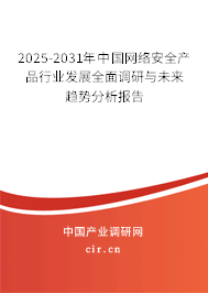 2025-2031年中國網(wǎng)絡安全產(chǎn)品行業(yè)發(fā)展全面調(diào)研與未來趨勢分析報告