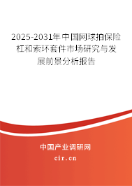 2025-2031年中國網(wǎng)球拍保險杠和索環(huán)套件市場研究與發(fā)展前景分析報告