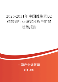 2025-2031年中國維生素B2磷酸鈉行業(yè)研究分析與前景趨勢報告