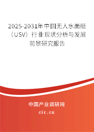 2025-2031年中國無人水面艇（USV）行業(yè)現(xiàn)狀分析與發(fā)展前景研究報告