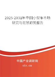 2025-2031年中國小型車市場研究與前景趨勢報告