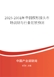 2025-2031年中國(guó)楔形接頭市場(chǎng)調(diào)研與行業(yè)前景預(yù)測(cè)