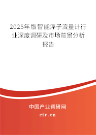 2025年版智能浮子流量計(jì)行業(yè)深度調(diào)研及市場(chǎng)前景分析報(bào)告