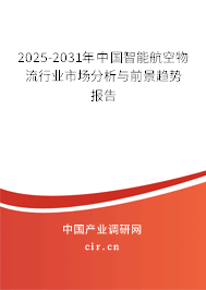 2025-2031年中國智能航空物流行業(yè)市場分析與前景趨勢報告