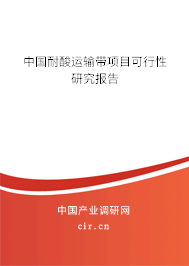 中國耐酸運(yùn)輸帶項(xiàng)目可行性研究報告