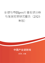 全球與中國pes行業(yè)現(xiàn)狀分析與發(fā)展前景研究報告（2025年版）