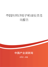 中國熱轉(zhuǎn)印帽子項(xiàng)目投資咨詢報告