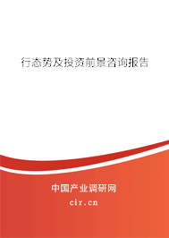 行態(tài)勢(shì)及投資前景咨詢報(bào)告