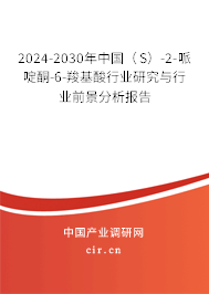 2024-2030年中國（S）-2-哌啶酮-6-羧基酸行業(yè)研究與行業(yè)前景分析報告