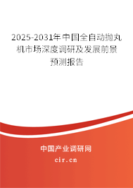 2025-2031年中國全自動拋丸機市場深度調(diào)研及發(fā)展前景預測報告