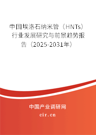 中國埃洛石納米管（HNTs）行業(yè)發(fā)展研究與前景趨勢報告（2025-2031年）